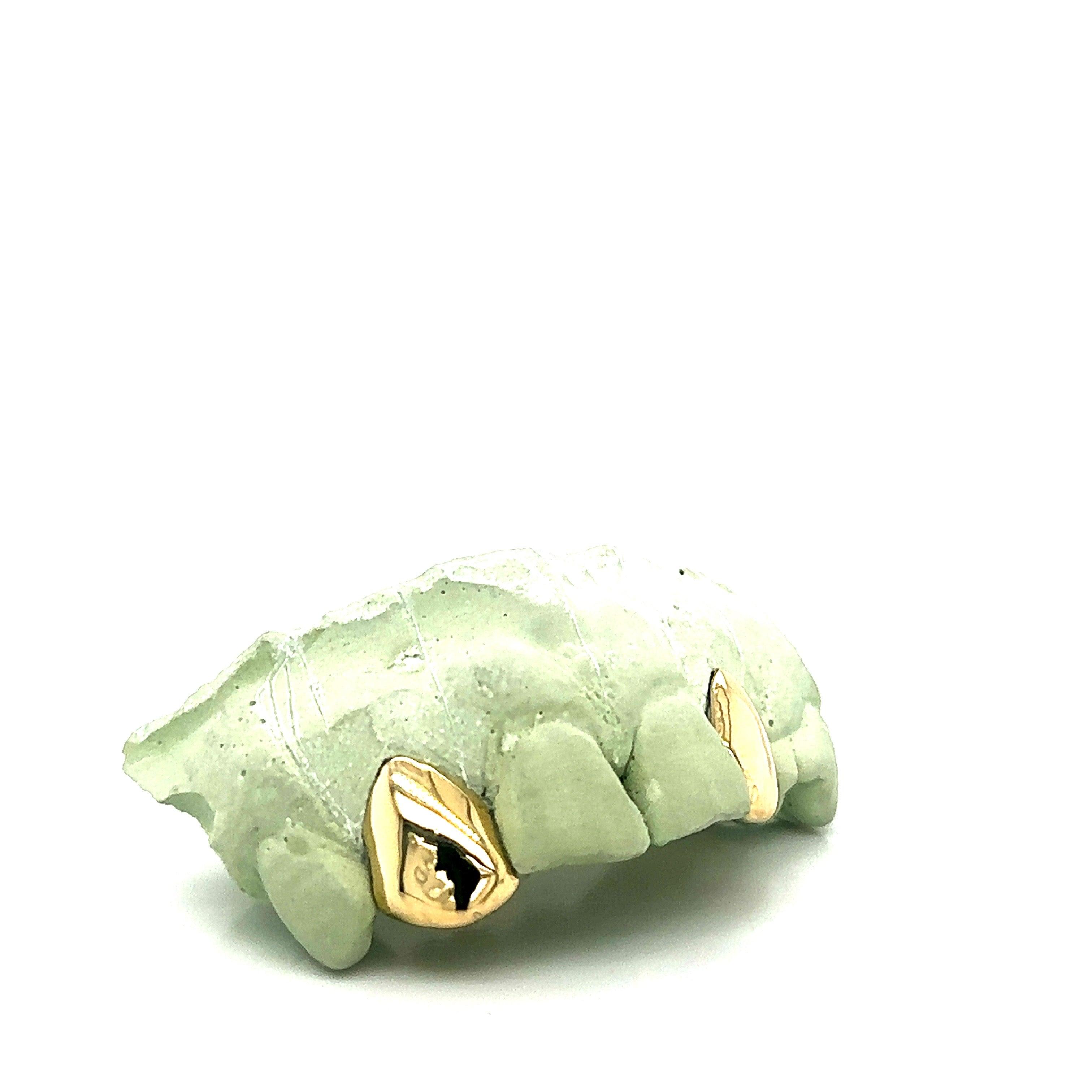 2pc Gold Incisor Top Grillz - Seattle Gold Grillz