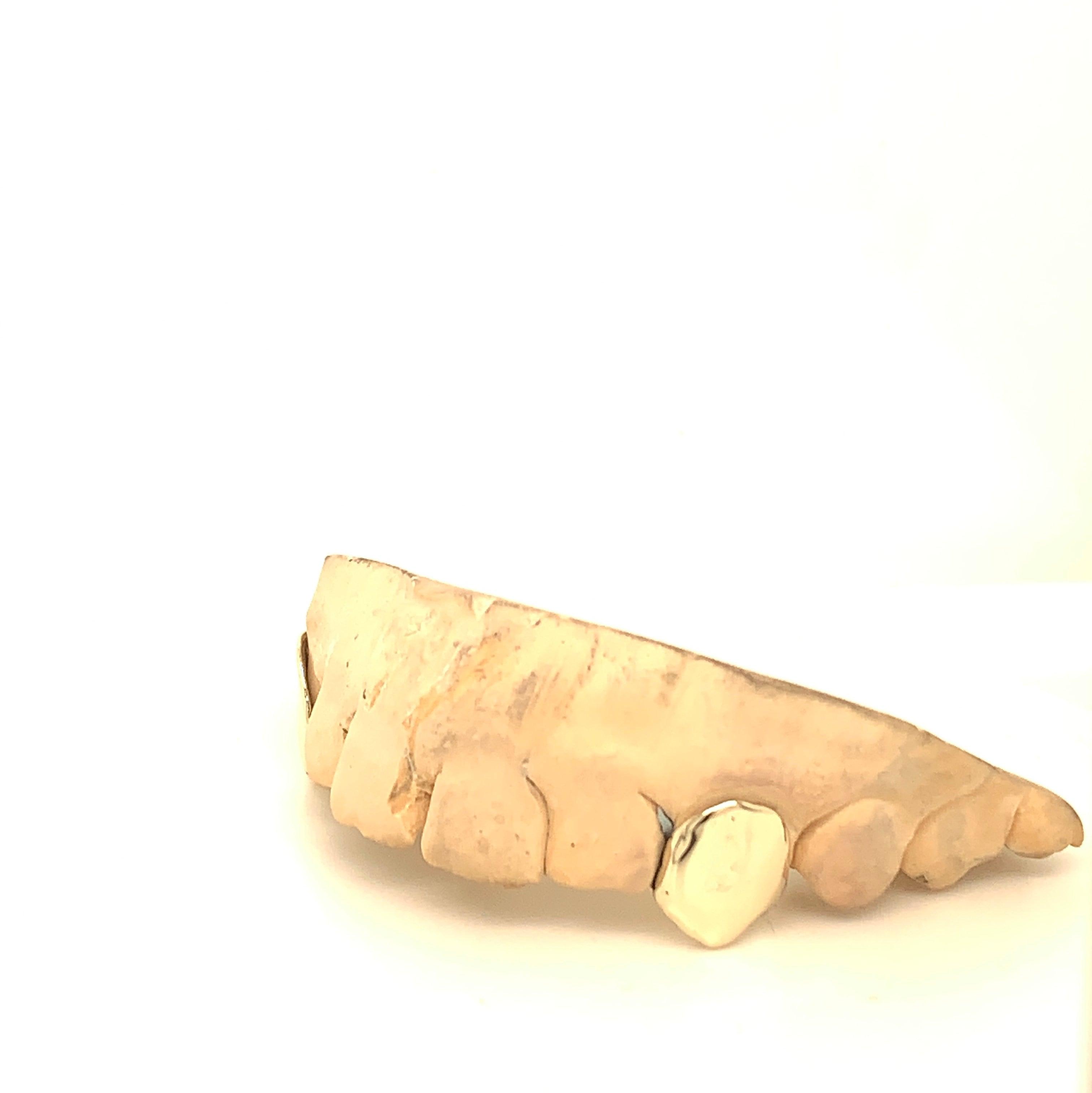 2pc Gold Top Fangs - Seattle Gold Grillz