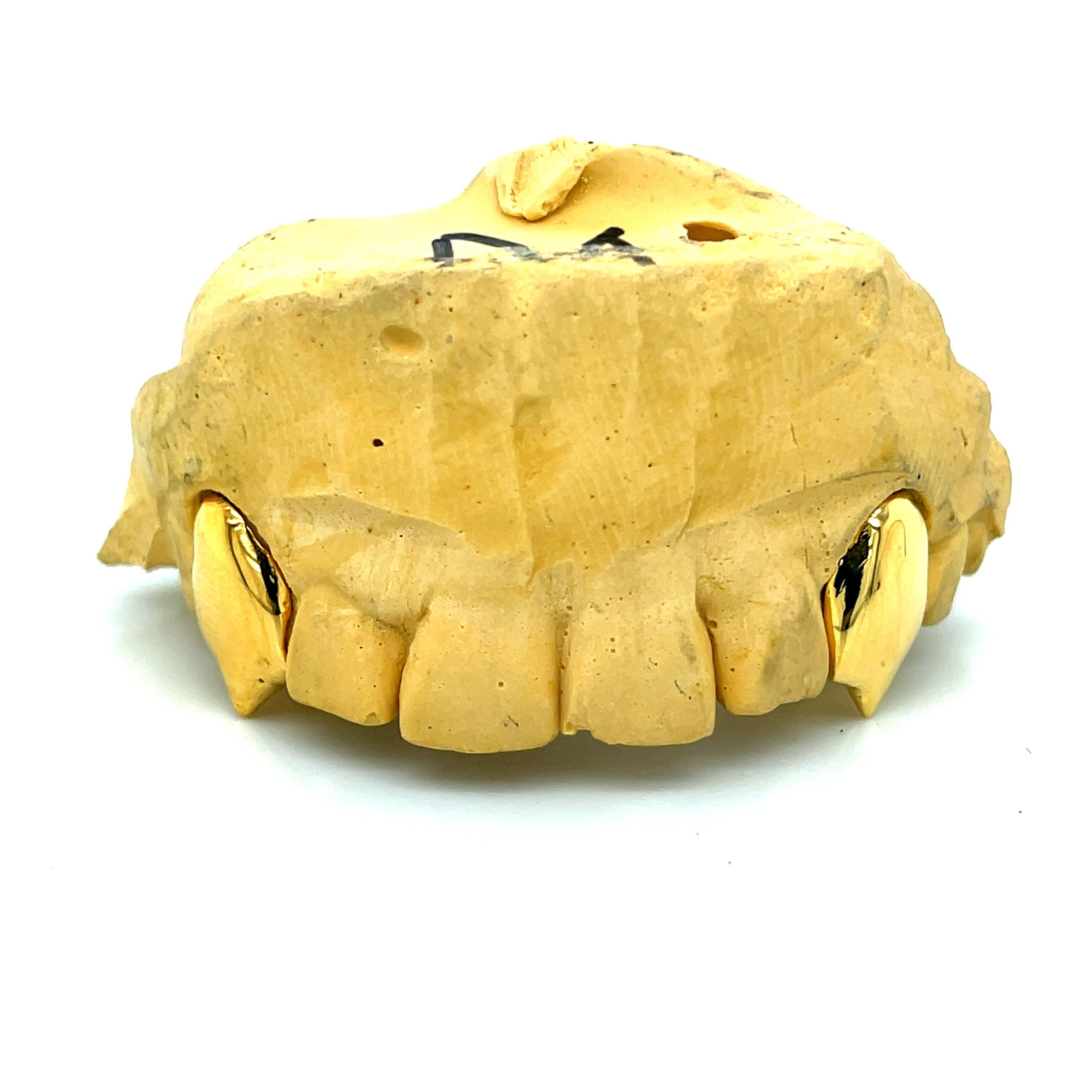 2pc Gold Top Fangs - Seattle Gold Grillz