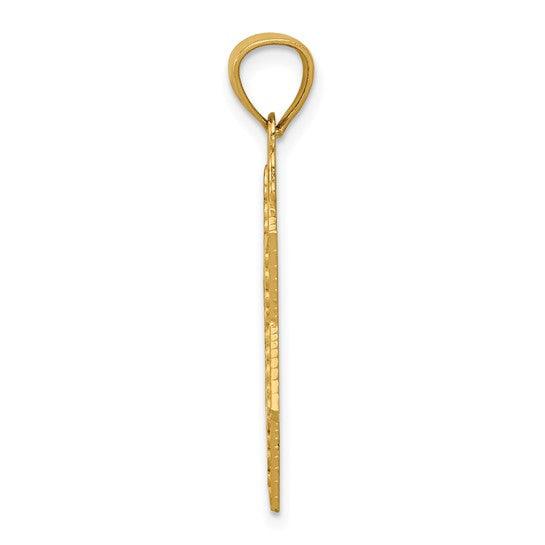 14k Diamond-cut Star of David Pendant