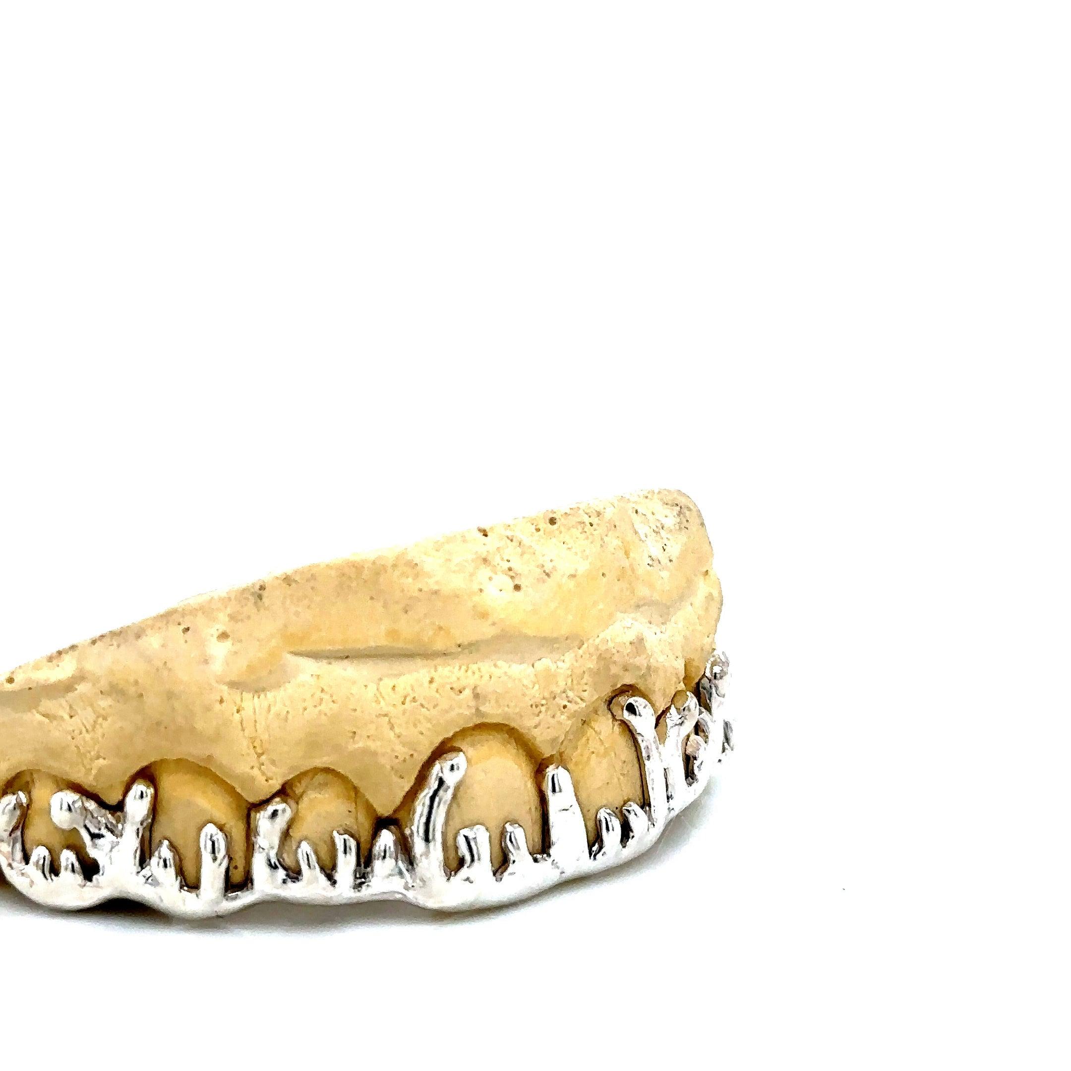 8pc Silver Drippage Top Grillz