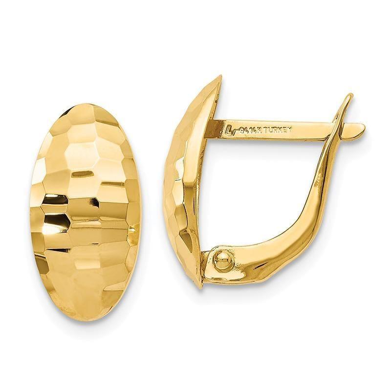 Leslie's 14k Polished and Hammered Hinged Post Earrings - Seattle Gold Grillz