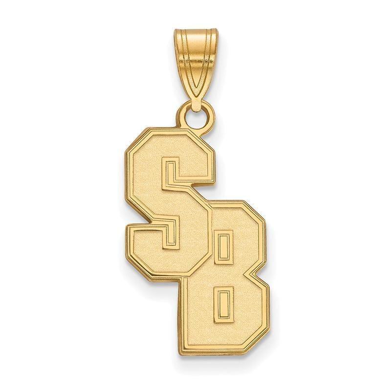 10ky LogoArt Stony Brook University Large Pendant - Seattle Gold Grillz