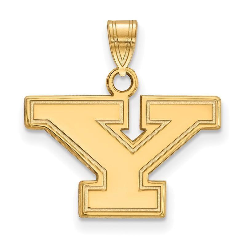 10ky LogoArt Youngstown State University Small Pendant - Seattle Gold Grillz