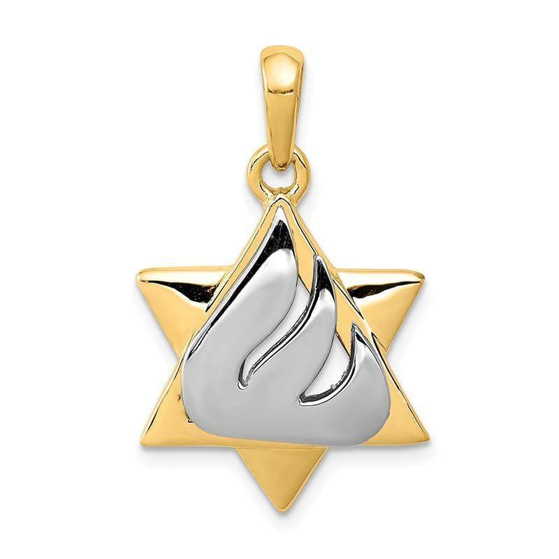 14k Two-tone Star of David Pendant - Seattle Gold Grillz