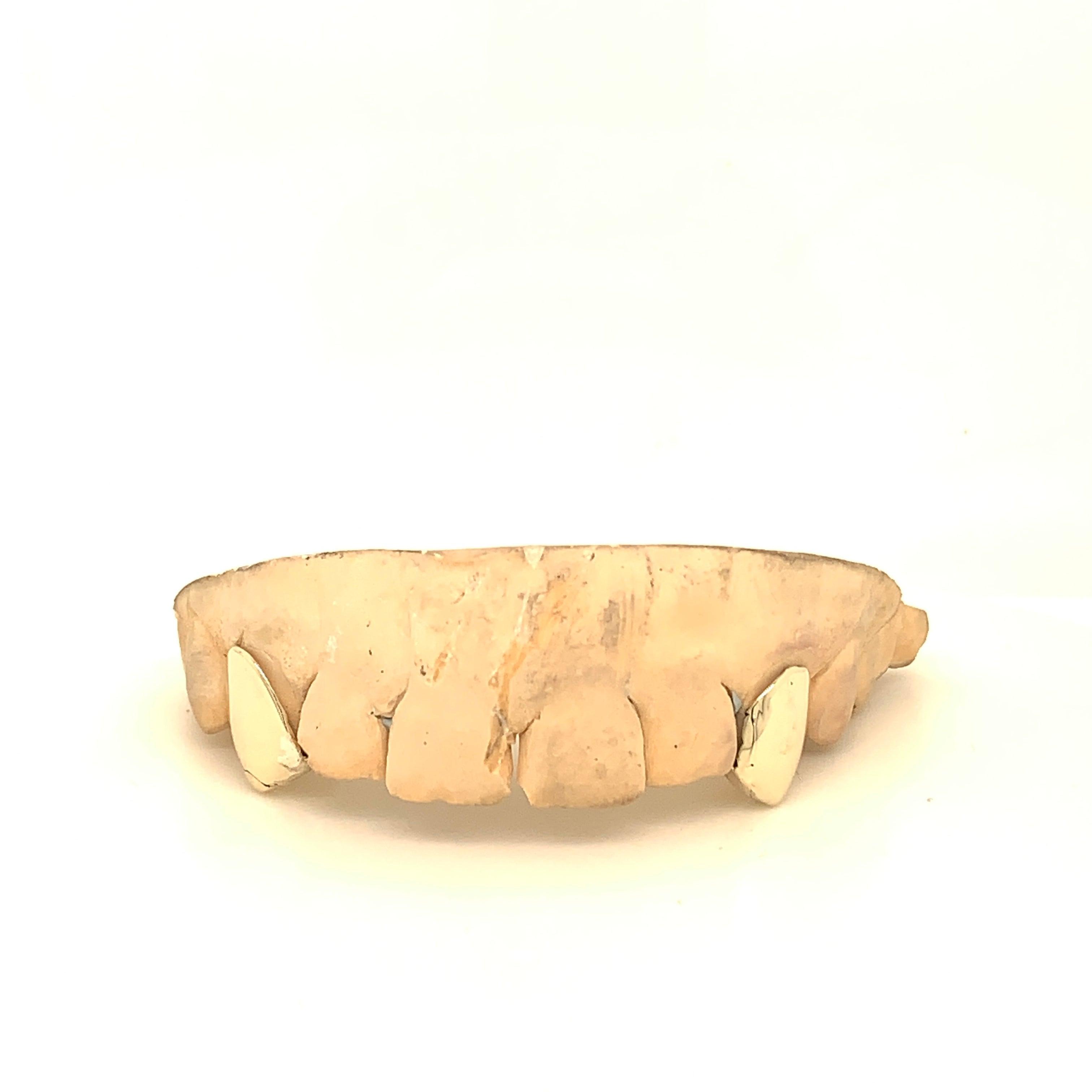 2pc Gold Top Fangs - Seattle Gold Grillz