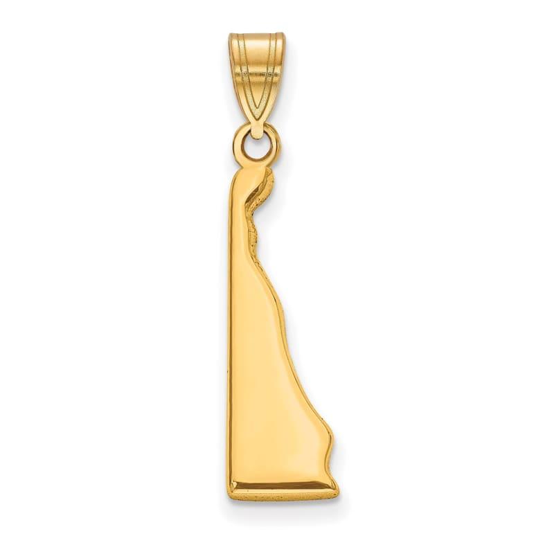 Silver Gold Plated DE State Pendant with chain - Seattle Gold Grillz