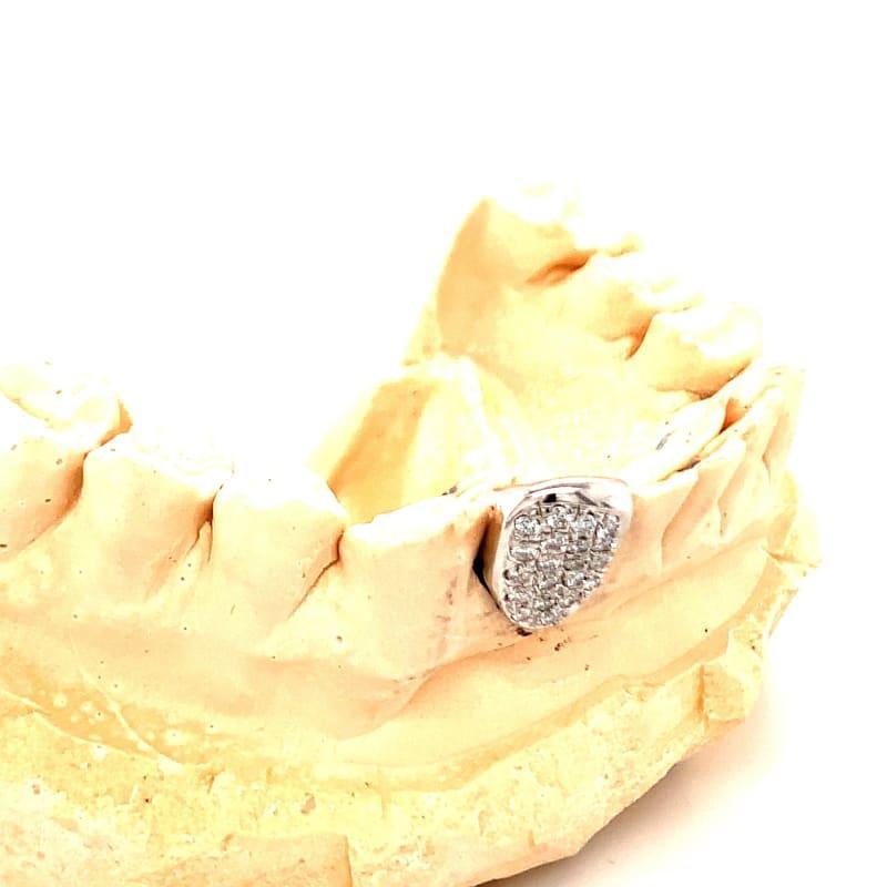 Single Diamond Bottom Fang Grillz - Seattle Gold Grillz